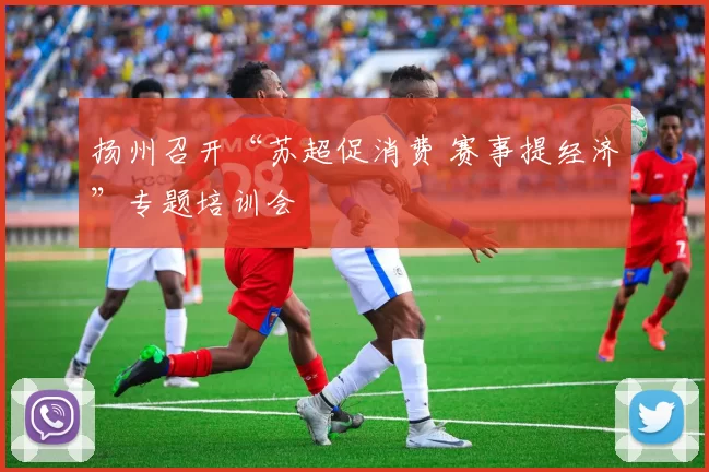 扬州召开“苏超促消费 赛事提经济”专题培训会