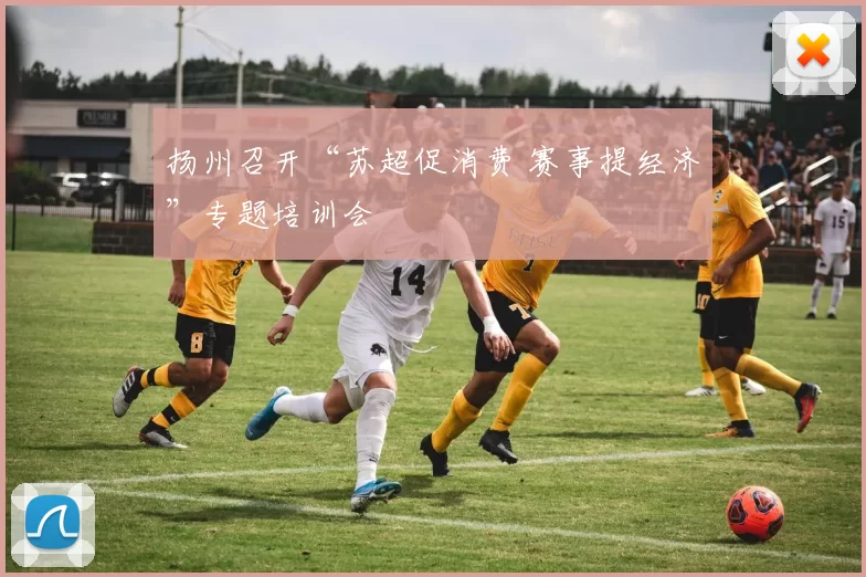 扬州召开“苏超促消费 赛事提经济”专题培训会