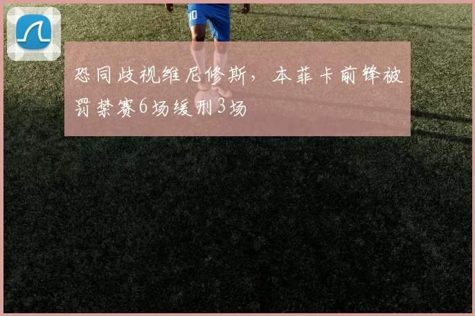 恐同歧视维尼修斯，本菲卡前锋被罚禁赛6场缓刑3场