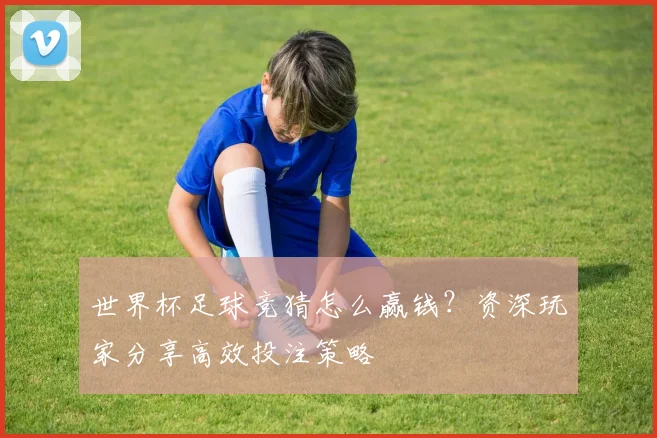 世界杯足球竞猜怎么赢钱？资深玩家分享高效投注策略