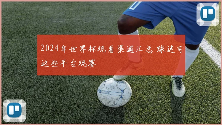 2024年世界杯观看渠道汇总 球迷可这些平台观赛