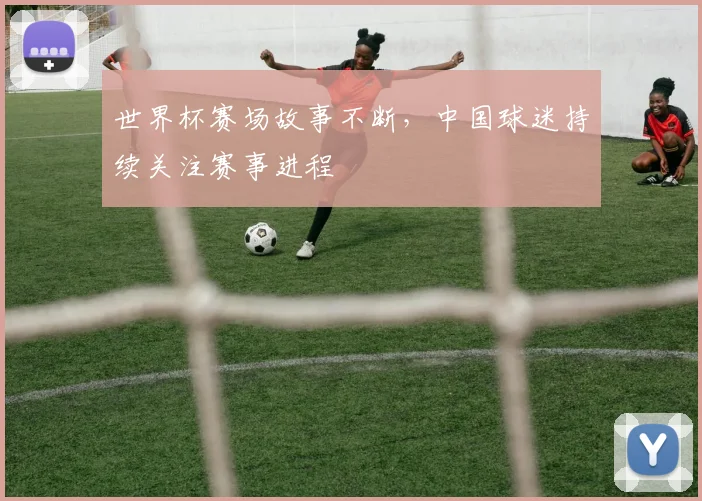 世界杯赛场故事不断,中国球迷持续关注赛事进程